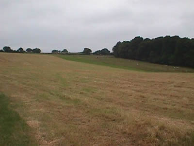 Photo of case study