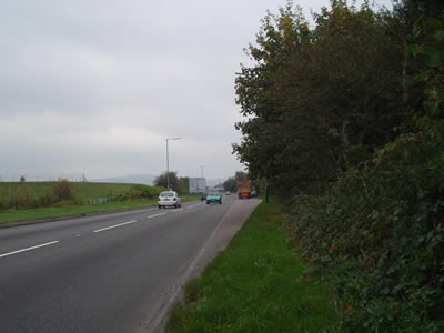 Photo of case study