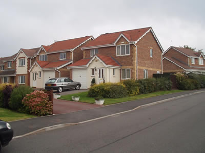 Photo of case study