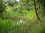 Picture of estate