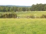 Picture of estate